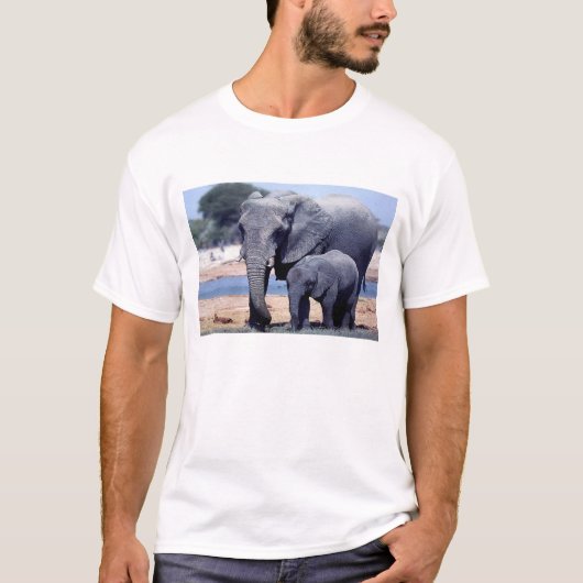 NET ELEPHANTS T-SHIRT (Voorkant)
