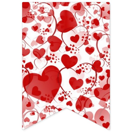 NET GEMAAKT - ontwerp van het hardeschaampatroon 2 Vlaggetjes (Tweede vlag)