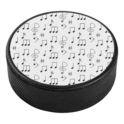 Net genoteerd hockey puck (3/4)
