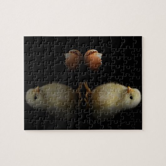 Net Hatched Chick Legpuzzel (Horizontaal)