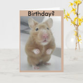 Net hoorde ik? kaart (Gele Bloem)