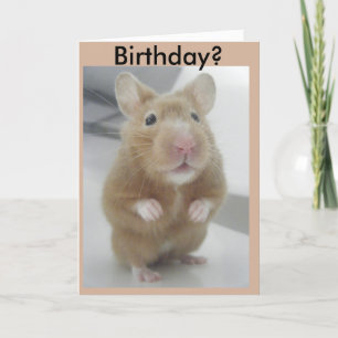 Net hoorde ik? kaart