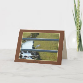 "Net op deze" Kaart van 5 x 7 inch met enveloppe