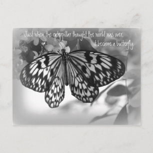 Net toen de caterpijler de wereld dacht briefkaart