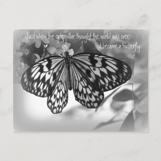 Net toen de rups de wereld dacht briefkaart (Voorkant)