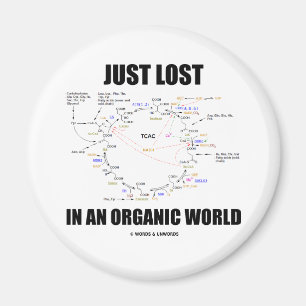 Net verloren in een organische wereld (Krebs Cycle Magneet