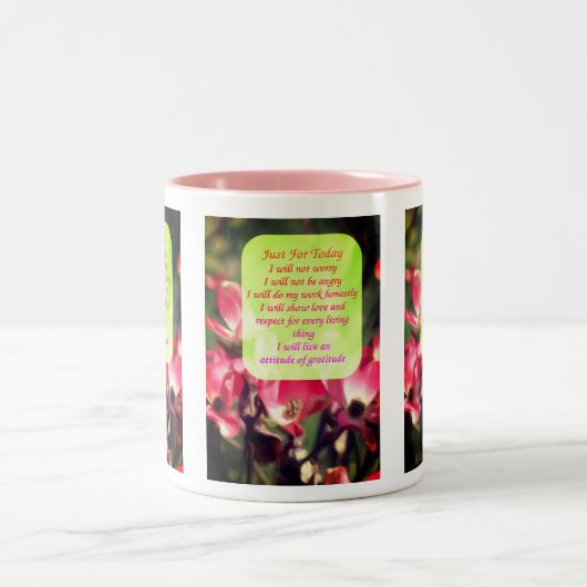 Net voor Dogwood Flowers Inspirerend Tweekleurige Koffiemok (Center)