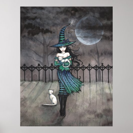 Net voor Midnight Witte kat Poster (Voorkant)