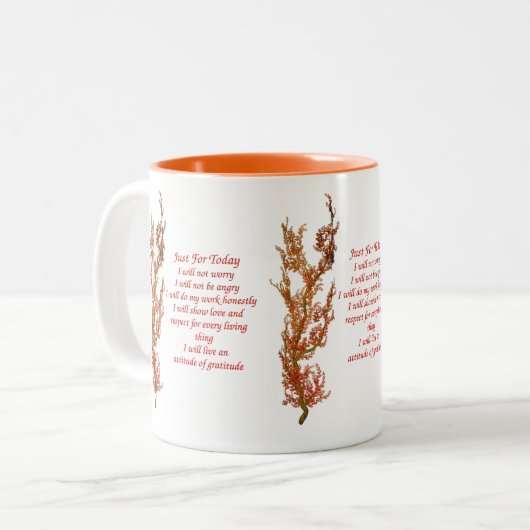 Net voor vandaag het Inspirerend van Reiki Tweekleurige Koffiemok (Voorkant links)