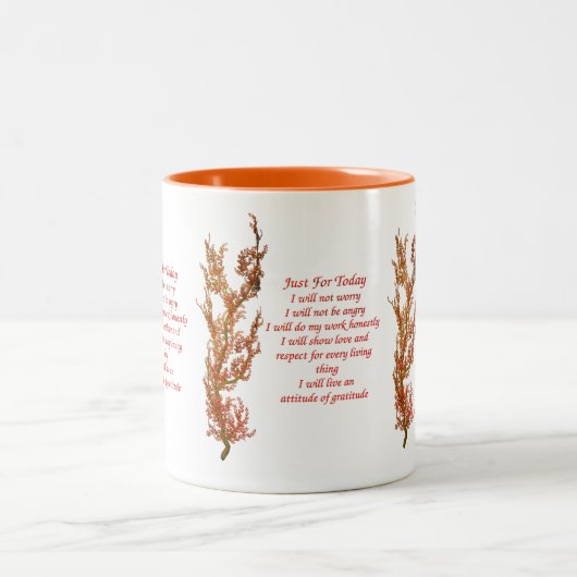 Net voor vandaag het Inspirerend van Reiki Tweekleurige Koffiemok (Center)