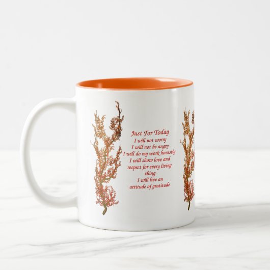 Net voor vandaag het Inspirerend van Reiki Tweekleurige Koffiemok (Links)