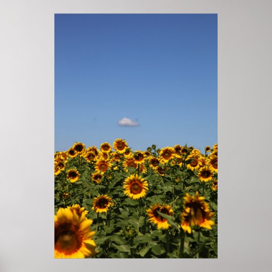 Net voorbij poster (Voorkant)