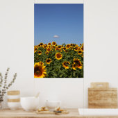 Net voorbij poster (Keuken)