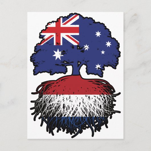 Netherlands Dutch Australian Tree Roots Briefkaart (Voorkant)