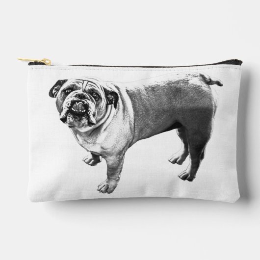 Netjes ritsen, Bulldog Flair Etui (Voorkant)