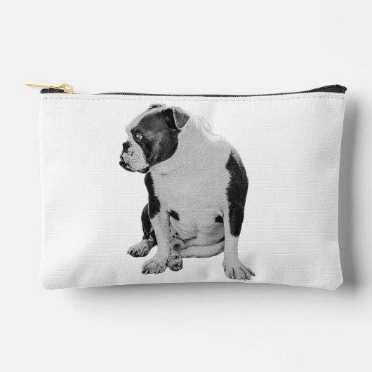 Netjes ritsen, Bulldog Flair Etui (Voorkant)