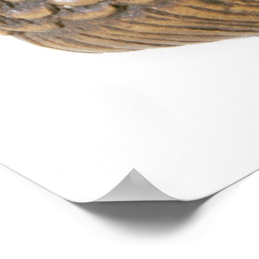 Netsuke, gekaard in de vorm van een zeemeermin poster (Hoek)