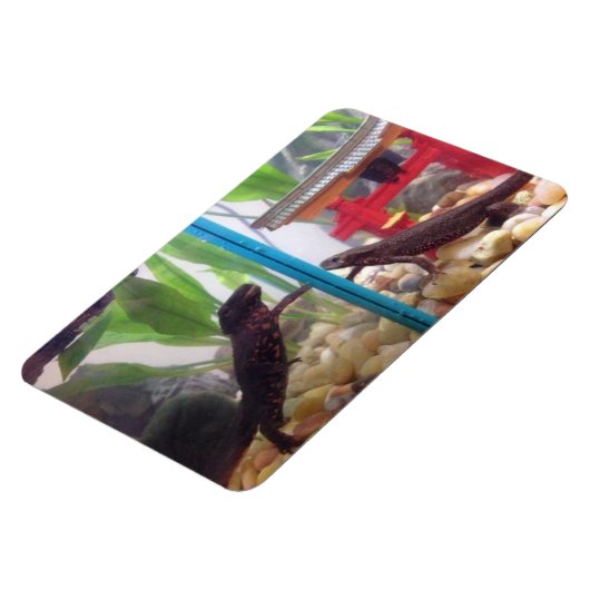 Netten die de magneet bereiken (Linkerzijde)