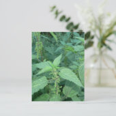 Netten vastzetten briefkaart (Staand voorkant)