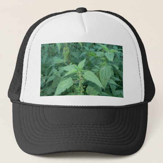 Netten vastzetten trucker pet (Voorkant)