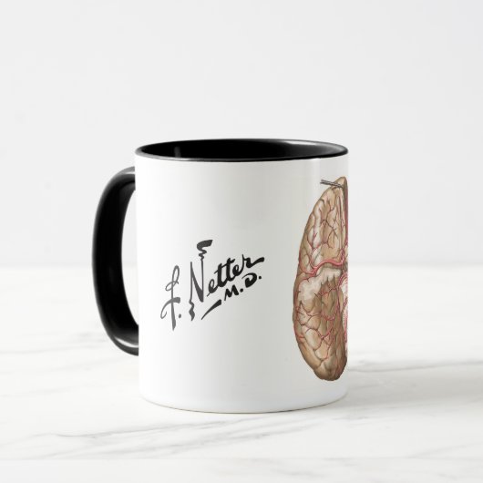 Netter Basal View of Brain  - Mug Mok (Voorkant links)