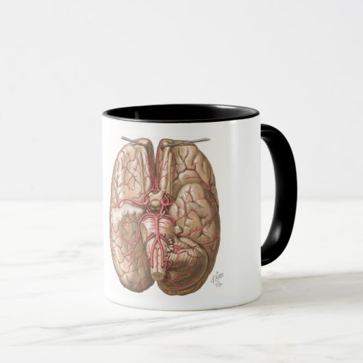 Netter Basal View of Brain  - Mug Mok (Voorkant rechts)