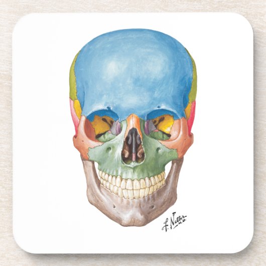 Netter Skull op Sandstone-Onderzetters Bier Onderzetter (Voorkant)