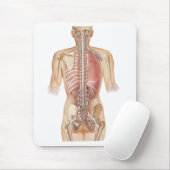 Netter Spine-Muismat Muismat (Met muis)