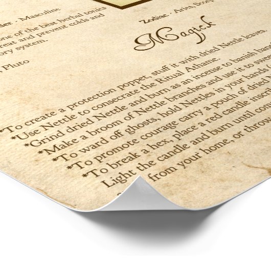 NETTLE MAGICK HERB POSTER (Hoek)