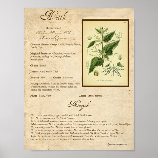 NETTLE MAGICK HERB POSTER (Voorkant)