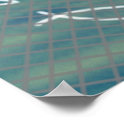 Netto afdruk van de vissers poster (Hoek)