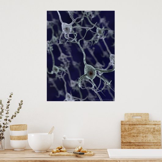 Netwerk Poster (Keuken)