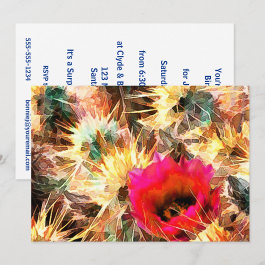 Netwerk van de Cactus-naalden Kaart (Voorkant / Achterkant)