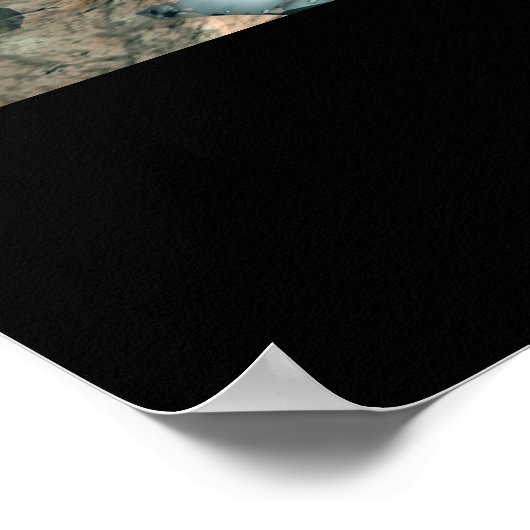 Netwerkpredatoren Poster (Hoek)