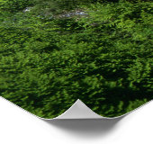 Neuchwanstein Castle Bavaria Poster (Hoek)