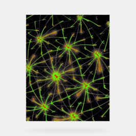 Neural Network Burst – Premium Acrylic Sign Acryl Bord