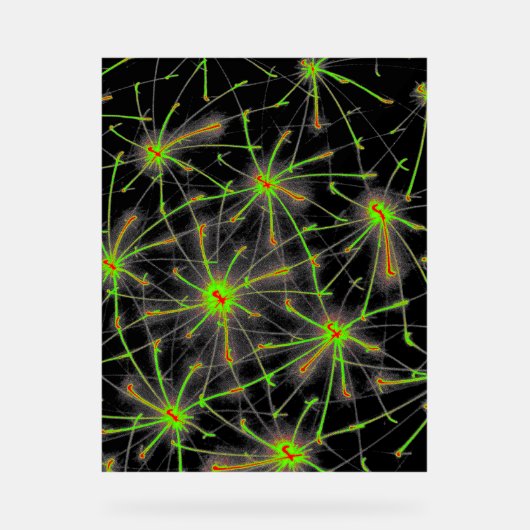 Neural Network Burst – Premium Acrylic Sign Acryl Bord (Voorkant)
