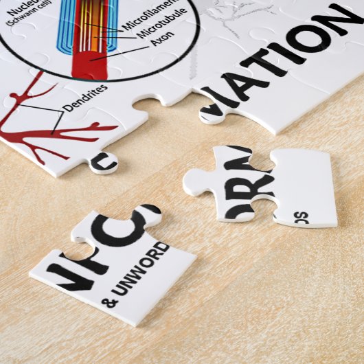 Neurale Ensemble Encoding Information Neuron Legpuzzel (Zijkant)