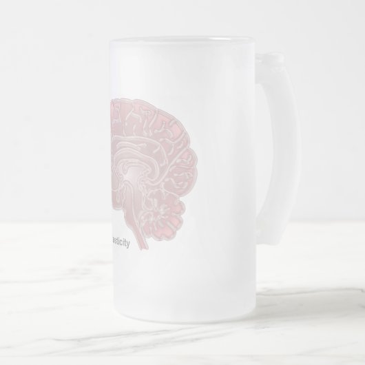 Neurale plasticiteit matglas bierpul (Voorkant rechts)