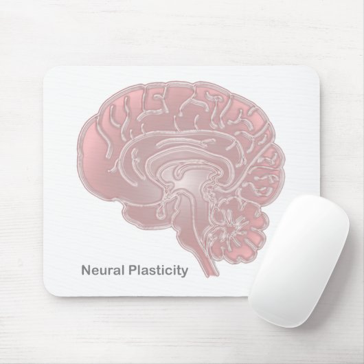 Neurale plasticiteit muismat (Met muis)