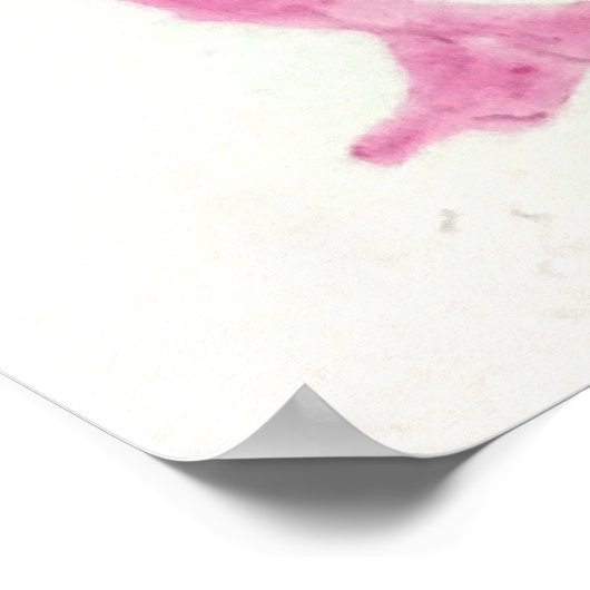 neurale stamcellen poster (Hoek)