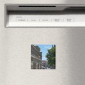 Neurenbergse magneet (Insitu (Vaatwasser))
