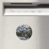 Neurenbergse magneet (Insitu (Vaatwasser))