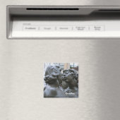 Neurenbergse magneet (Insitu (Vaatwasser))