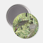 neuriën_vogel magneet (Voorkant / Achterkant)