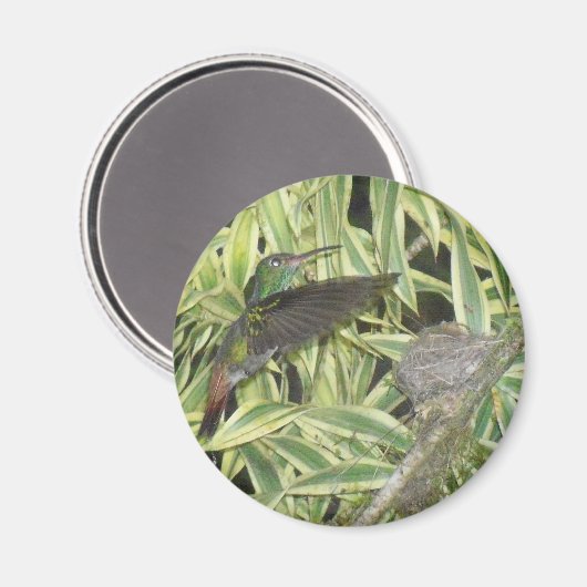 neuriën_vogel magneet (Voorkant / Achterkant)