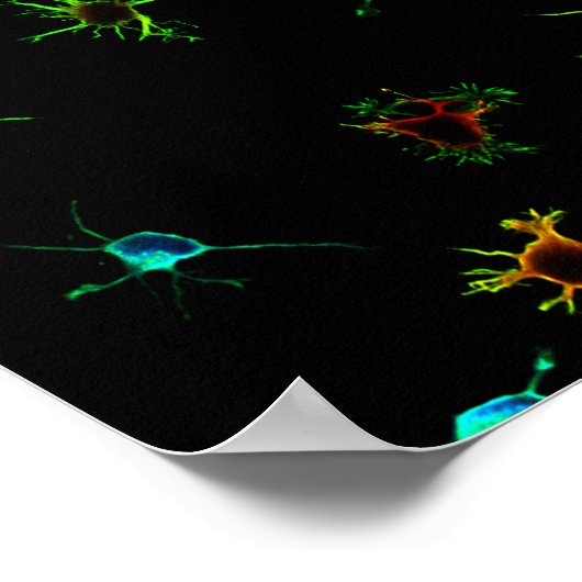 NeuroGalaxy Poster (Hoek)