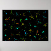 NeuroGalaxy Poster (Voorkant)