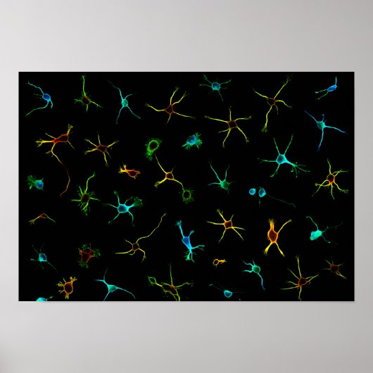 NeuroGalaxy Poster (Voorkant)