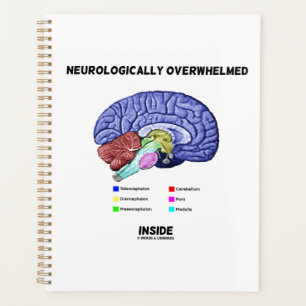Neurologisch overweldigd binnenin-hersenanatomie planner